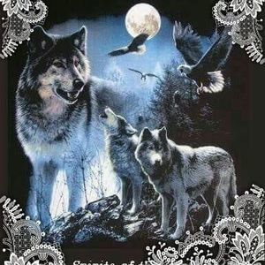 Meet your Posher, Donnie